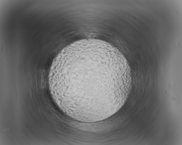 X0000082140030200702162154