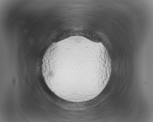 X0000082140032200702162154