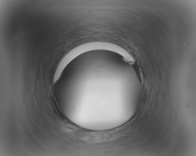 X0000082140033200702162154