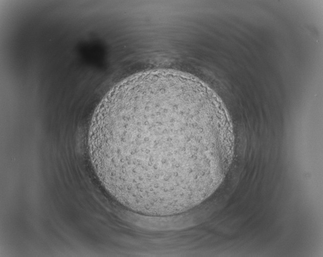 X0000082140034200702162154