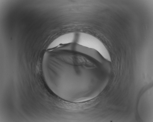 X0000082140035200702162154