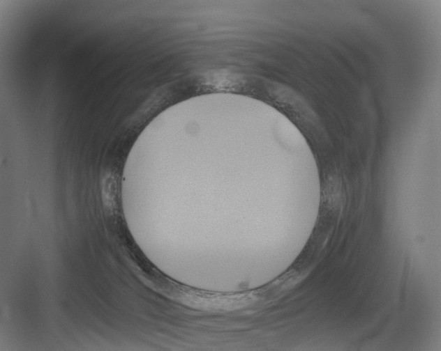 X0000082140036200702162154