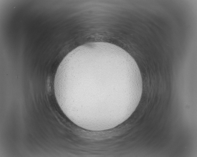 X0000082140038200702162154