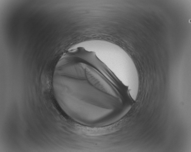 X0000082140039200702162154