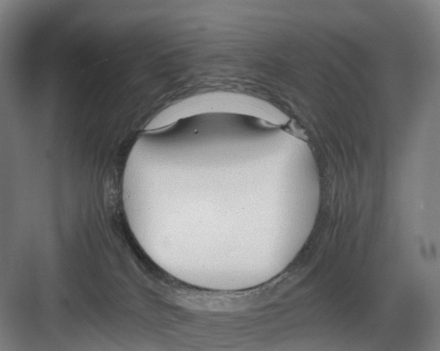 X0000082140040200702162154