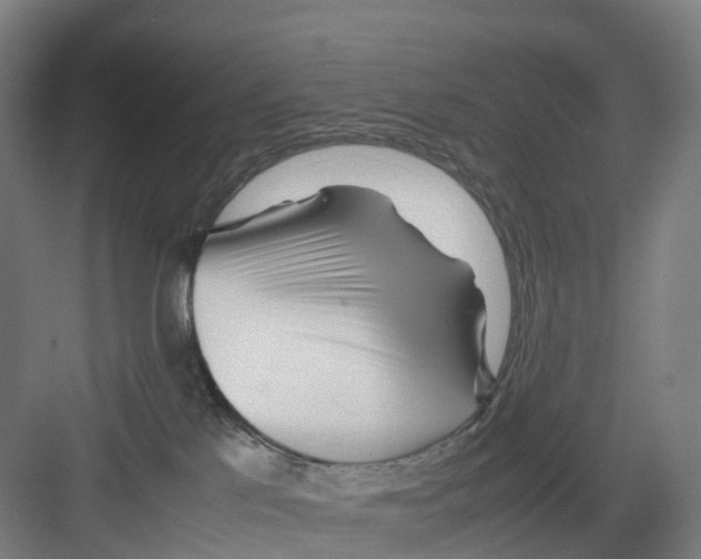 X0000082140041200702162154