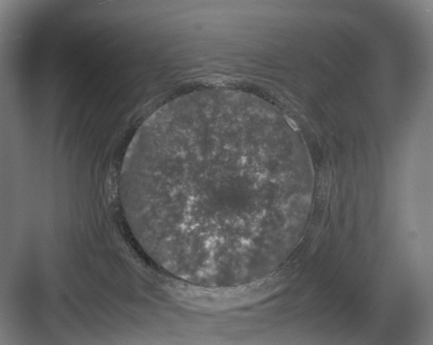 X0000082140043200702162154