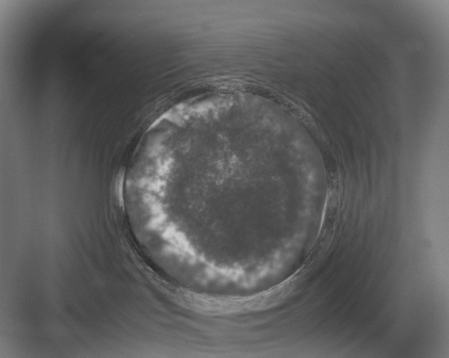 X0000082140047200702162154