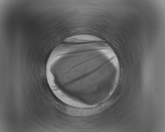 X0000082140048200702162154