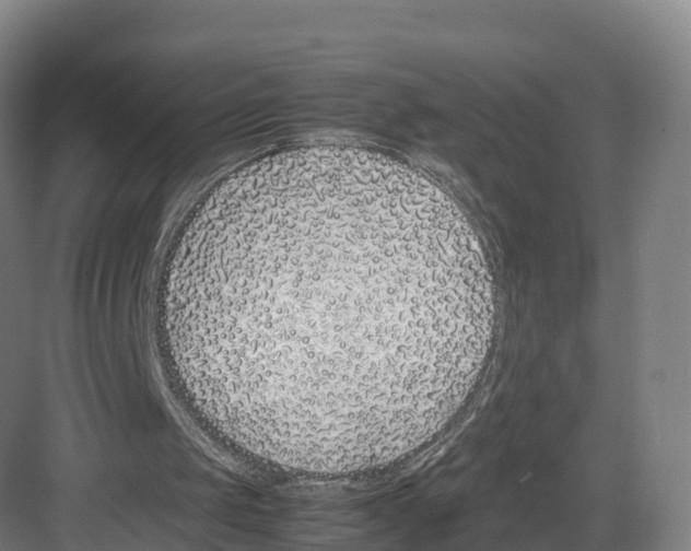 X0000082140049200702162153