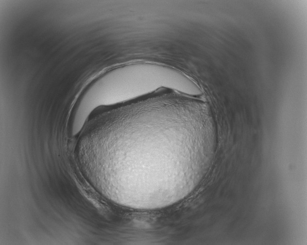 X0000082140050200702162153