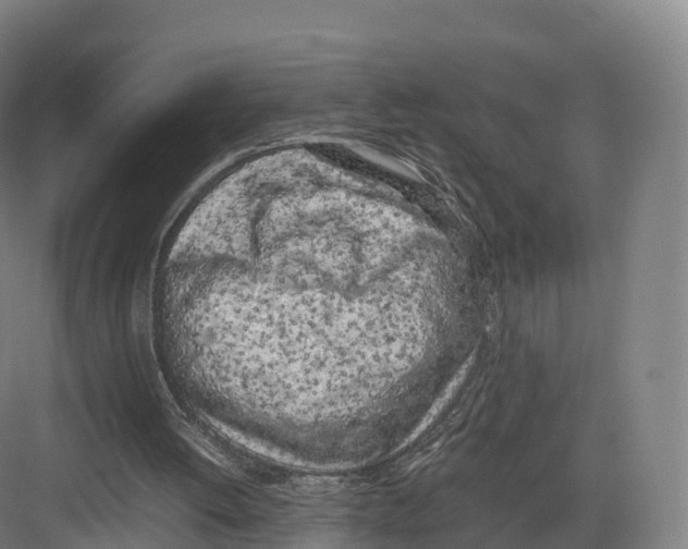 X0000082140052200702162153