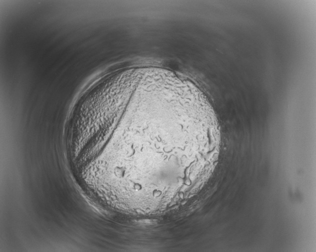 X0000082140053200702162153