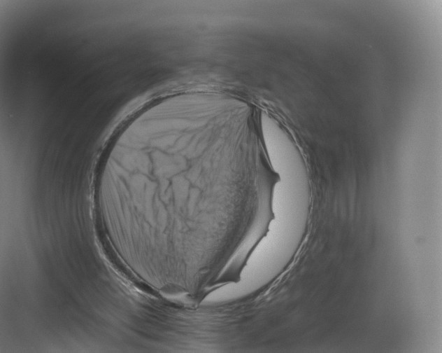 X0000082140054200702162153