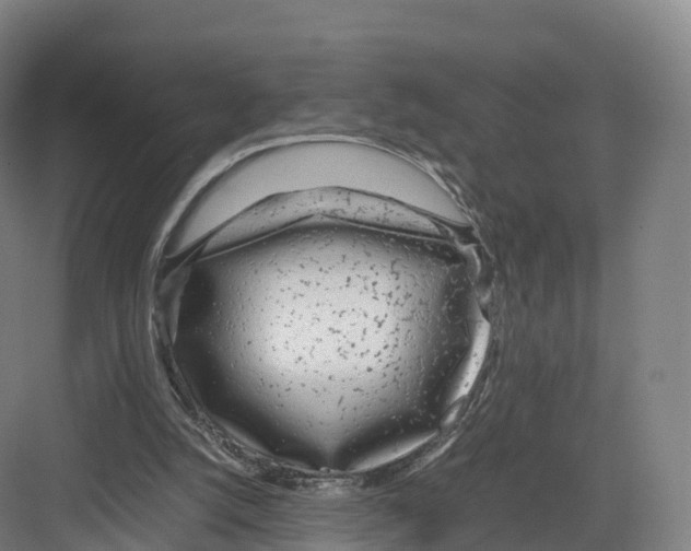 X0000082140056200702162153