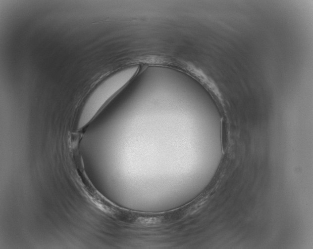 X0000082140057200702162153