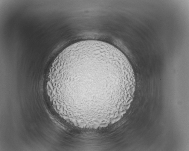 X0000082140058200702162153