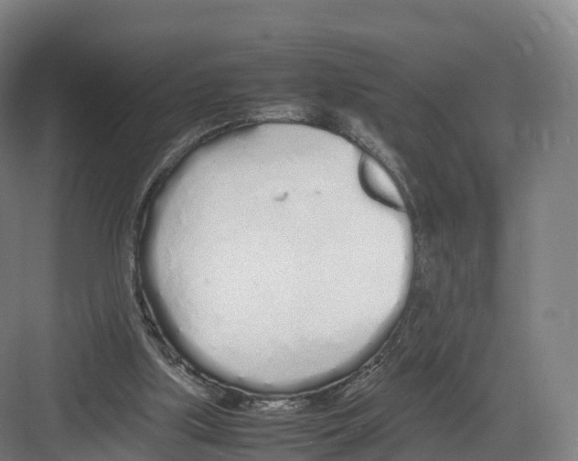 X0000082140059200702162153