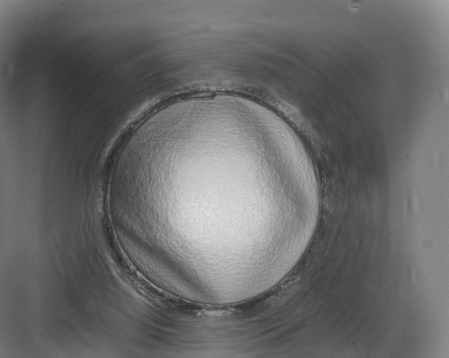 X0000082140060200702162153