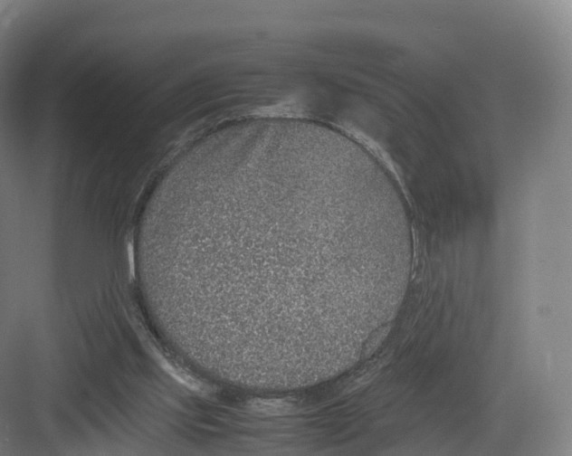 X0000082140061200702162153