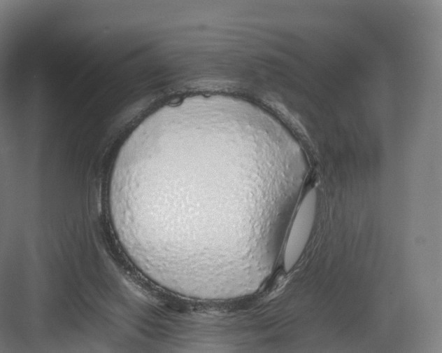 X0000082140062200702162153