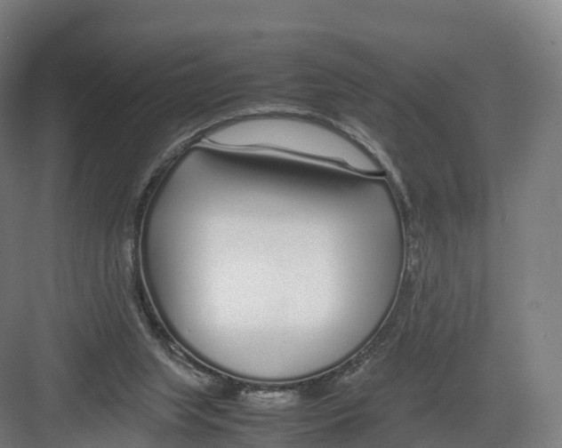 X0000082140063200702162153