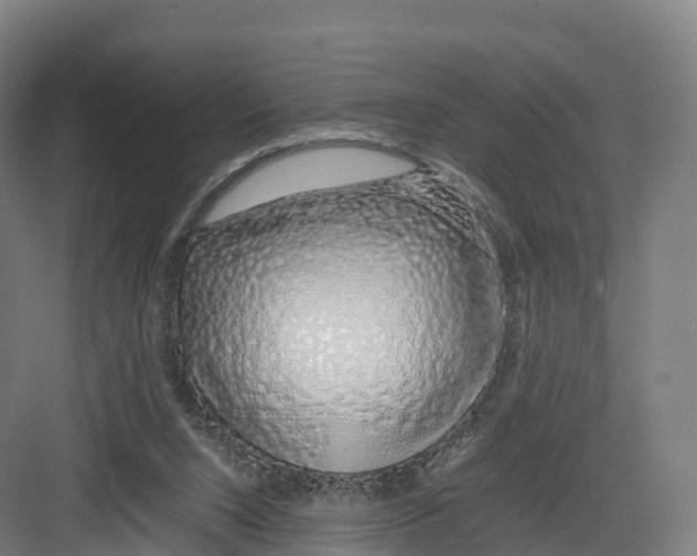 X0000082140064200702162153