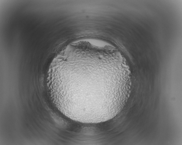 X0000082140066200702162153