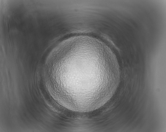 X0000082140068200702162153