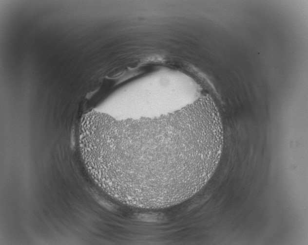 X0000082140069200702162153