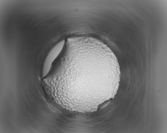 X0000082140070200702162153