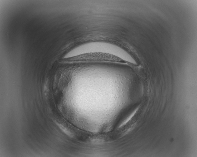 X0000082140072200702162153