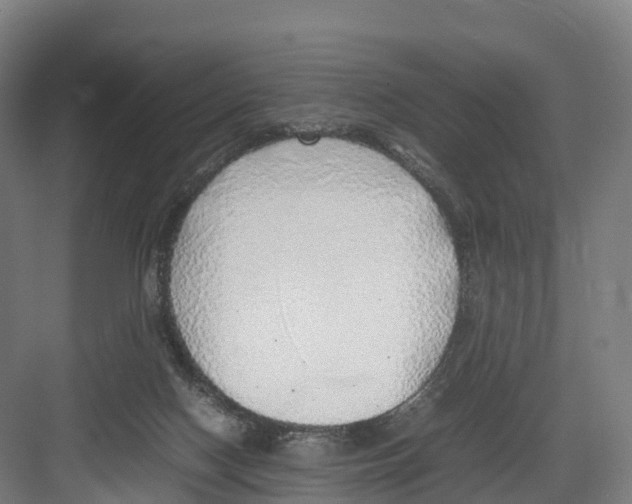 X0000082140074200702162153