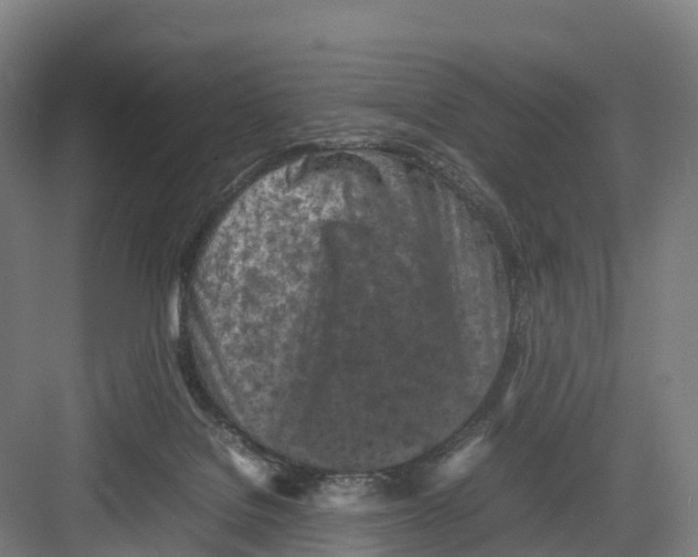 X0000082140076200702162153