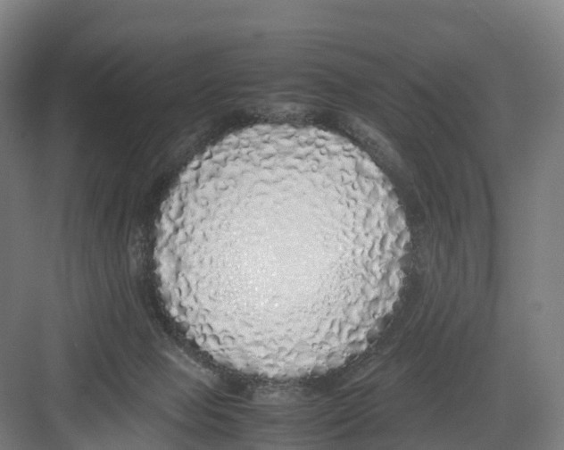 X0000082140077200702162153