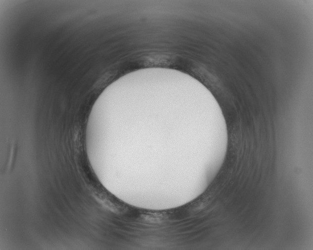 X0000082140079200702162153