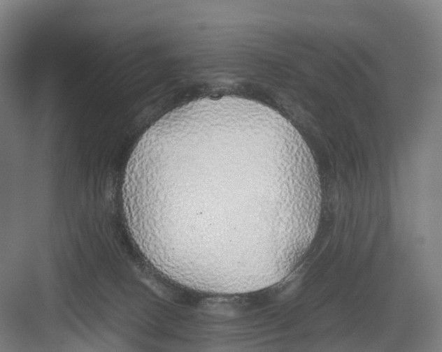 X0000082140082200702162153