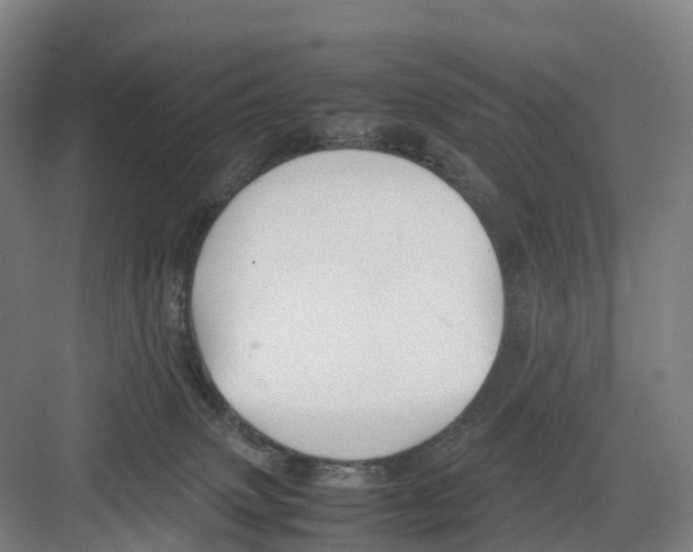 X0000082140083200702162154