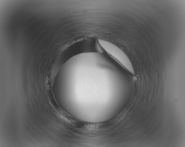 X0000082140084200702162154