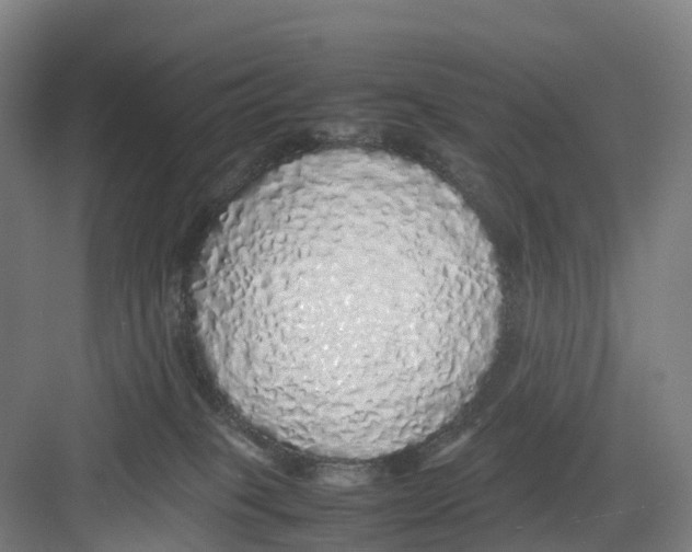 X0000082140085200702162154