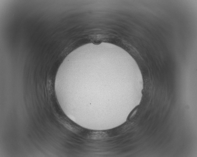 X0000082140087200702162154