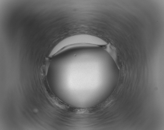 X0000082140088200702162154