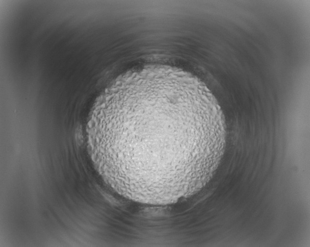 X0000082140089200702162154