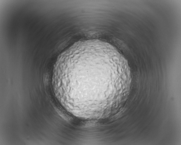 X0000082140090200702162154