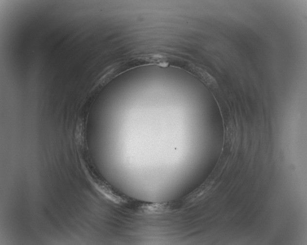 X0000082140092200702162154