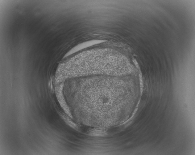 X0000082140094200702162154