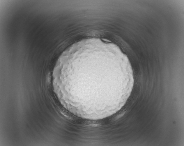 X0000082140095200702162154