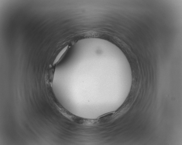 X0000082140096200702162154