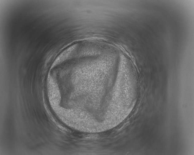 X0000082140097200702162153