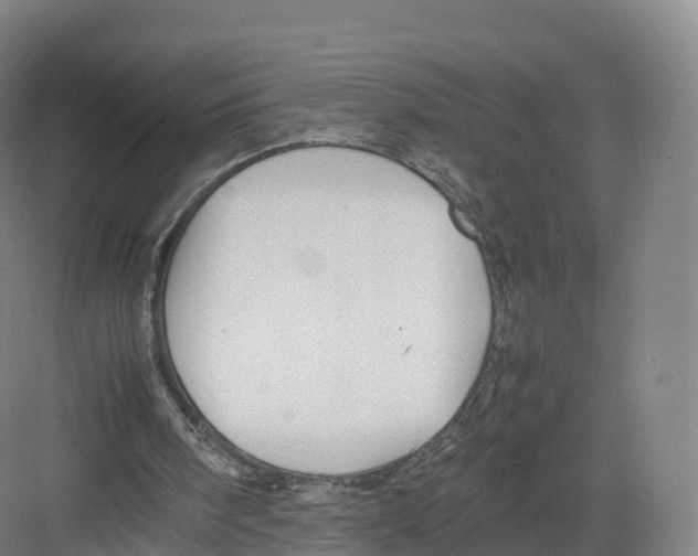 X0000082140098200702162153